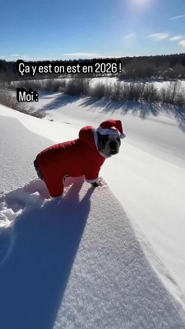 Je vous souhaite une bonne année !
Qu'elle soit aussi libre, fun et inspirante que cette glissade dans la neige.
* J'adore les vidéos de Winston, c'est actuellement mon moment bonbon sur insta.