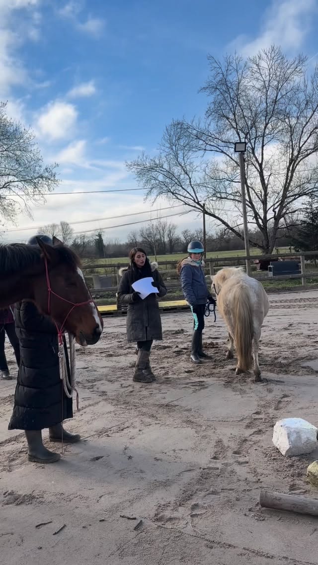 Stage dĂ©couverte du Mountain Trail â°ïž
Hier, nos cavaliers et nos chevaux ont dĂ©couvert le mountain trail, une discipline qui consiste Ă franchir diffĂ©rents dispositifs (ponts, buttes, passages Ă©troits, obstacles naturelsâŠ) afin de travailler la confiance, la prĂ©cision, le calme et la connexion entre le cavalier et son cheval.
Nous avons travaillĂ© sur plusieurs dispositifs et on sâest Ă©clatĂ© đ€
Merci Ă nos cavaliers et Ă nos chevaux dâavoir jouĂ© le jeu avec autant dâenvie.
On vous laisse découvrir tout