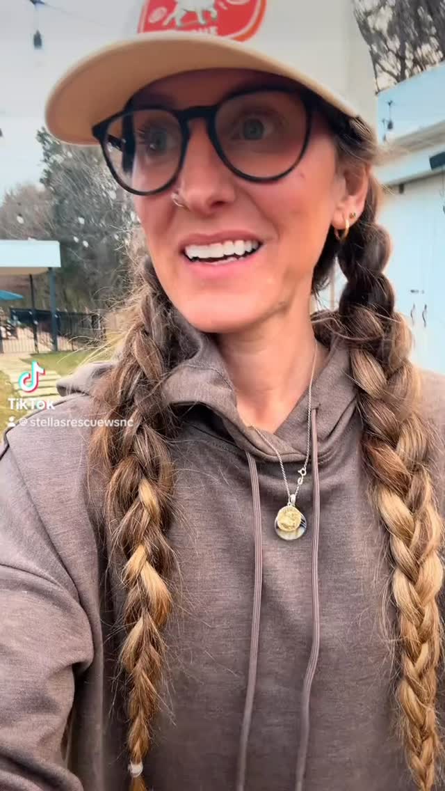 LIVING THE DREAM OVER HERE & All I know is: Twiggy, Velma & Sirius are innocent. They are also looking for homes.
*Winnie might be too if she doesn’t stop eating and rolling in 💩
#adoptdontshop #rescuedog #farmlife #fishing #taylorswift (figured it was worth a try)