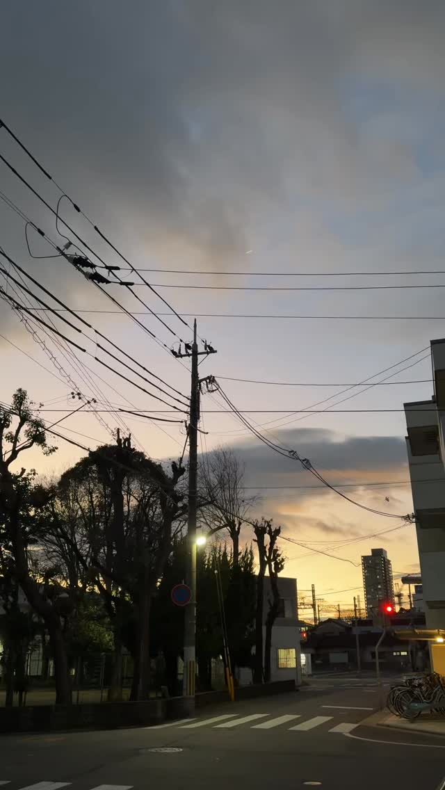 いつも癒される道。
#ほぐしの楽田 #尼崎肩こり #尼崎副腎疲労 #ホットペッパーほぐしの楽田 #近くのマッサージ リンパマッサージ尼崎 ほぐしの楽田阪神尼崎駅前 ホットペッパービューティー 楽天ビューティ 肩甲骨はがし尼崎 尼崎胸鎖乳突筋 西淀川マッサージ 西宮マッサージ 肩甲骨はがし尼崎 尼崎マッサージ 肩こりマッサージ 寒暖差疲労 自律神経ケア 冷え症 口コミ評判 肩甲骨特化のお店 ChatGPTマッサージ 尼崎リンパマッサージ ヘッドスパ 疲労回復 Googlマップマッサージ 冷え対策 リラクゼーション 温活 首こり改善 Amarakuda