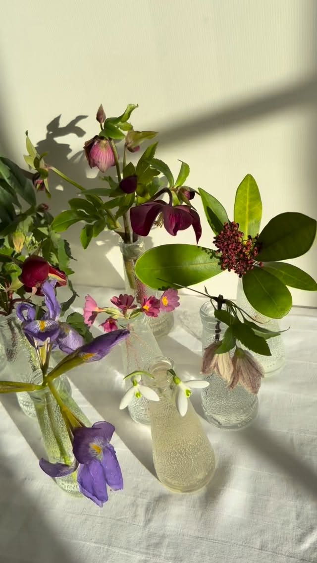 Happy New Year.
A selection of garden flowers picked on New Year’s Day after the frost had thawed. Please ask if you don’t recognise any of the flowers.
Happy gardening in 2026 and may it be a good one.
#wiltshire #winterflowers #cutflowersfrommygarden