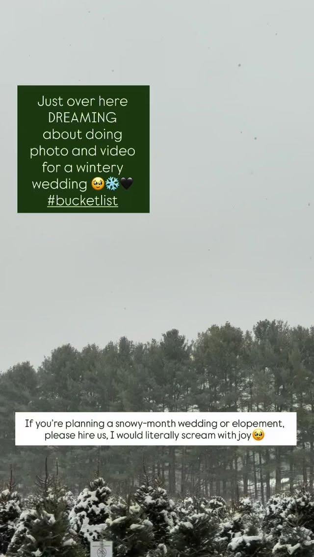 Just over here DREAMING about doing photo and video for a wintery wedding 🥹❄️🖤 If you’re planning a snowy-month wedding or elopement, please hire us, I would literally scream with joy 🥹
.
.
.
#travelphotographers #weddingvideographers #weddingphotographers #winterweddings #celebratelove