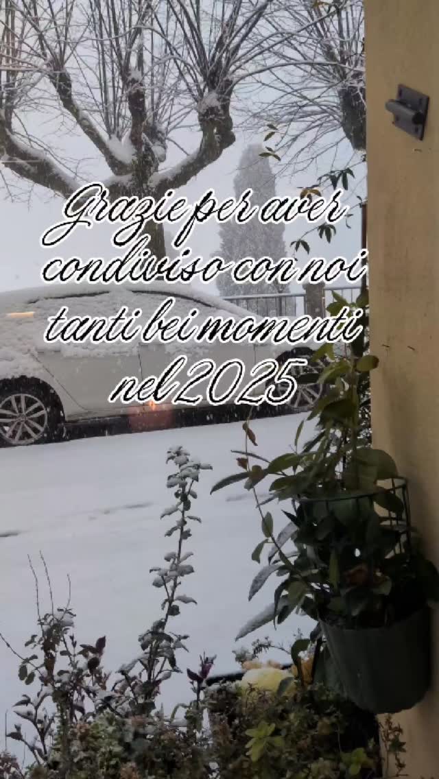 Lalma Café si prende una breve pausa per ricaricare le energie ❄️