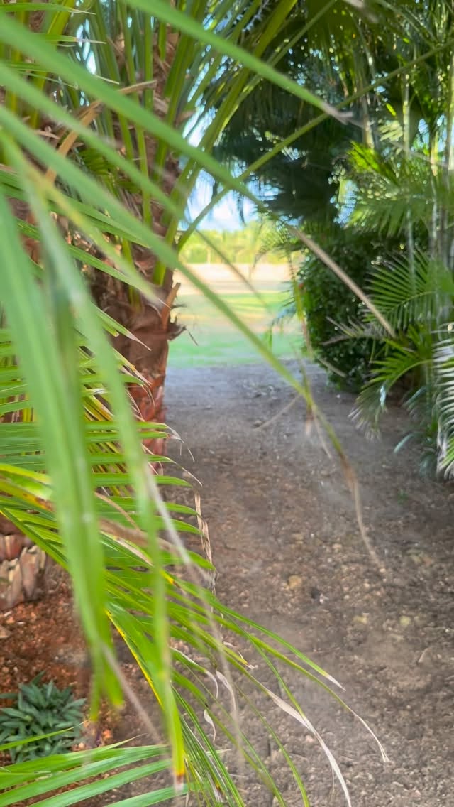 El privilegio de despertar frente al mar caribe.
Territorio Mágico te espera.
#caribe #ocean #colombia