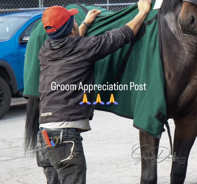 The work is demanding and hard. A ๐ซก to the grooms.