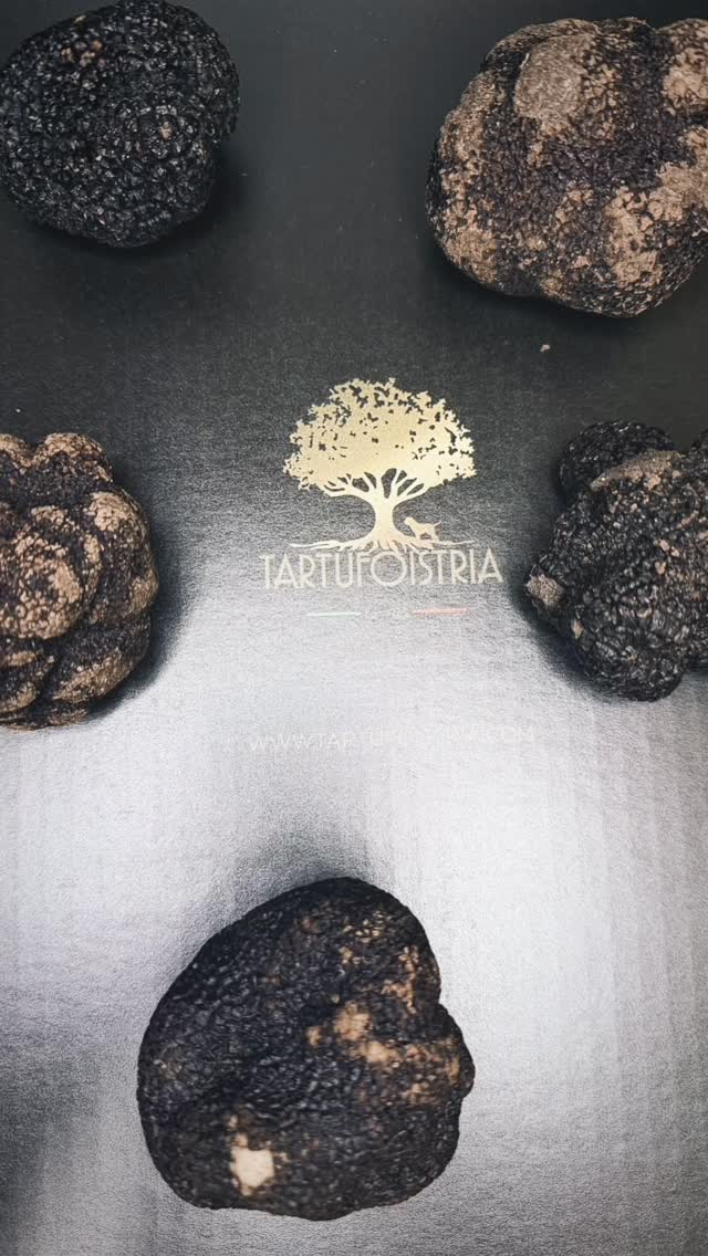 Black winter Truffles Melansporum #blackwintertrufflesseason#tartufo #truffle#