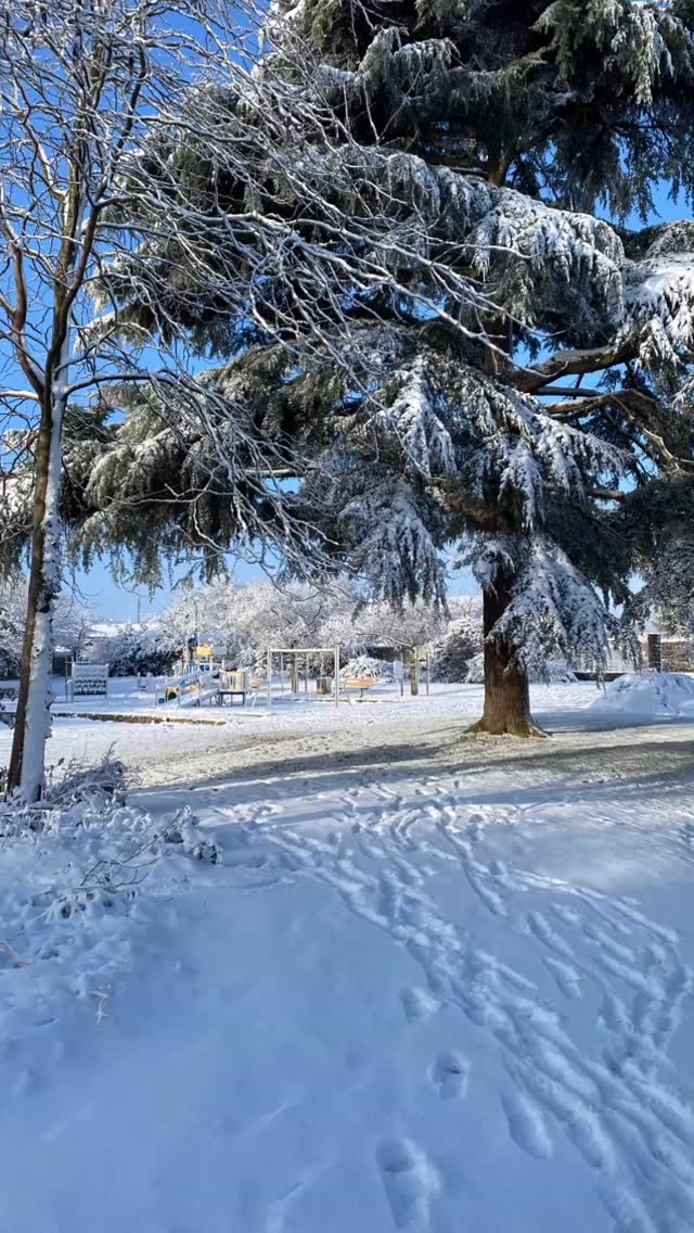 On se retrouve la semaine prochaine 🥰 profitez bien de ce beau cadeau 💝 de dame nature ❄️⛄️❣️#lemaysurevre