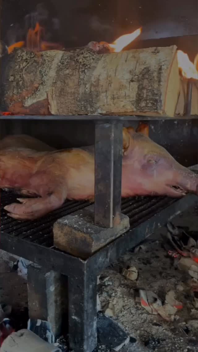 Hola Siga La Vaca meat lovers! 🥩🔥 We will be offering the house special “Estonian Grilled Piglet” on this Saturday 17/01
Book your table 🐷