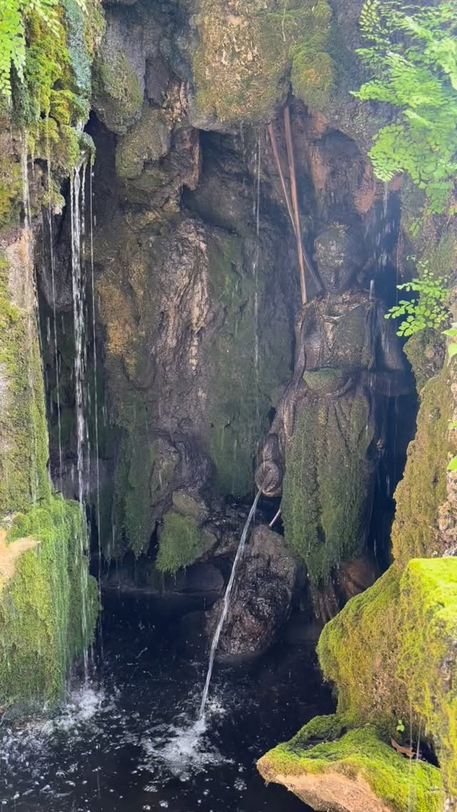 Late New Year Post🤭
This year has taught Tore & I so much. We are taking this time to look at all the beauty and growth of Sol & Root. This year has been such an eye opening year for the both of us. I officially went part time at HEB, and Tore was able to quit his part time and work full time Sol & Root!
Big thank you to everyone who has supported us along the way. The support y’all have been giving us is allowing us to live our dream. So thank you to you all and Happy New Year!!!🫶🏼
#smallbusiness #metaphysicalshop #newyear #atx #thankyou