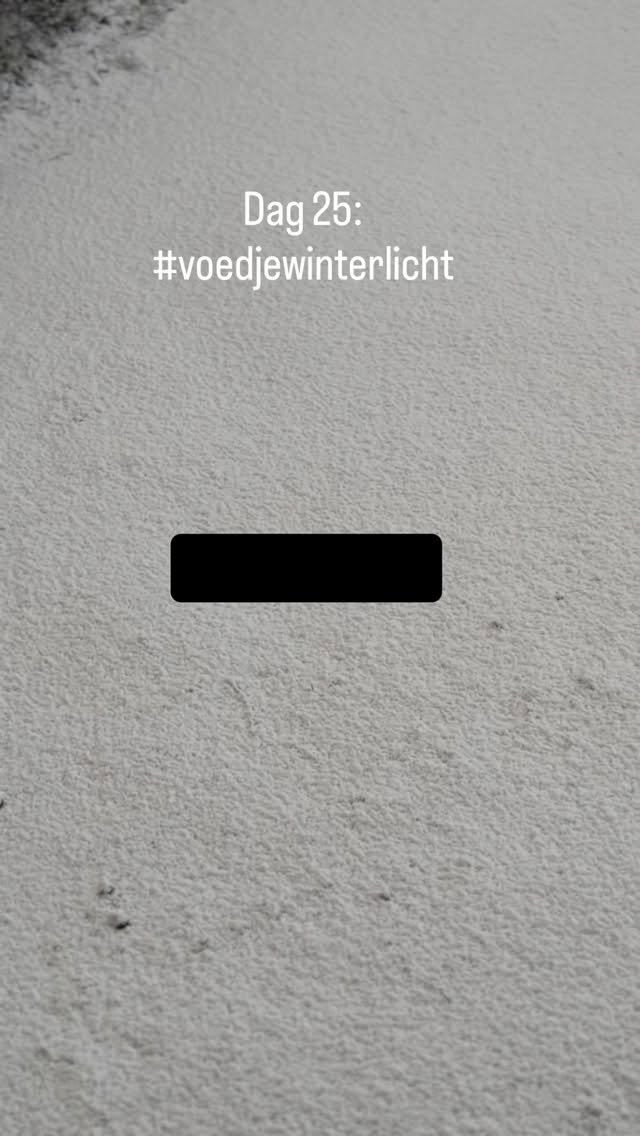 Dag 25 van de challenge om mezelf 30 dagen te voeden en dit te delen. #voedjewinterlicht
Everything is possible.
So let’s play. ❄️