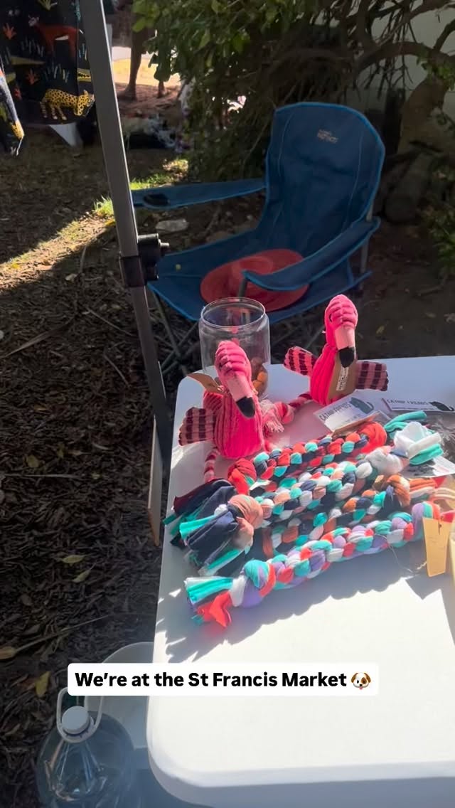 We’re at the @stfrancismarket 🐾🦴
Grab gorgeous bandanas, bags, toys, beds and snacks between 09:00 and 13:00
📍Assisi Drive, St Francis Bay
#supportlocalbusiness #dogsofinstagram #handmade