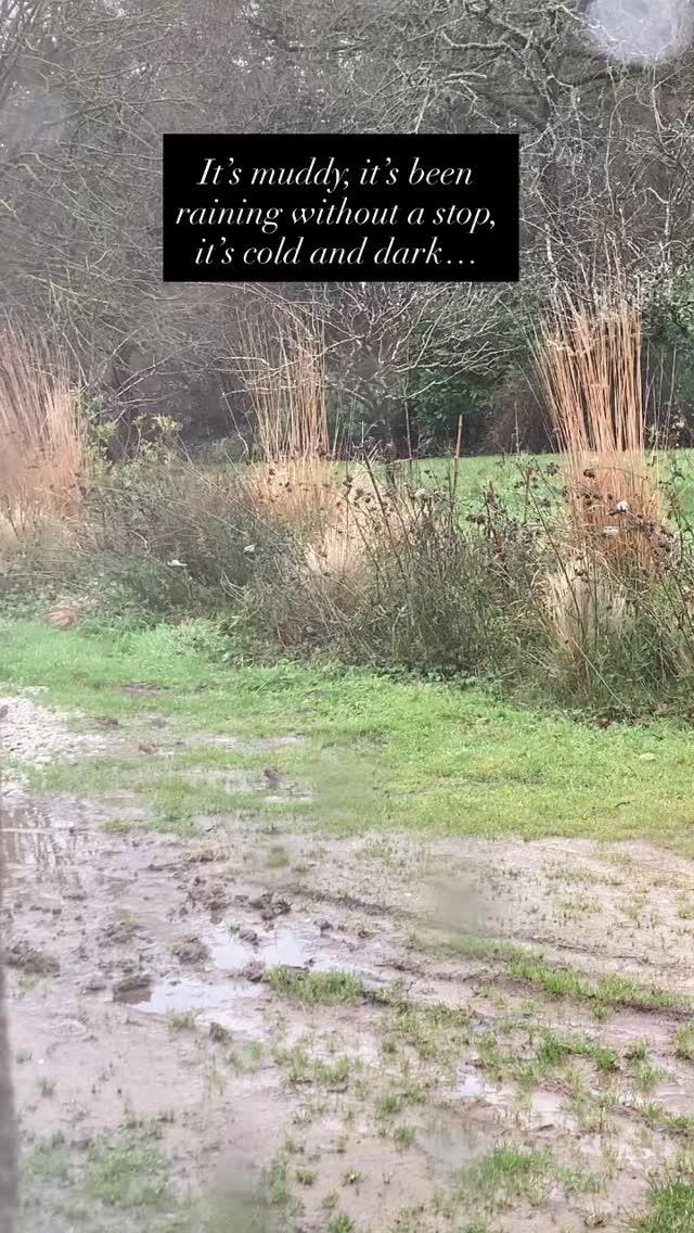 Hope this brings you a little moment of joy !
#awehunting with @suzyreading