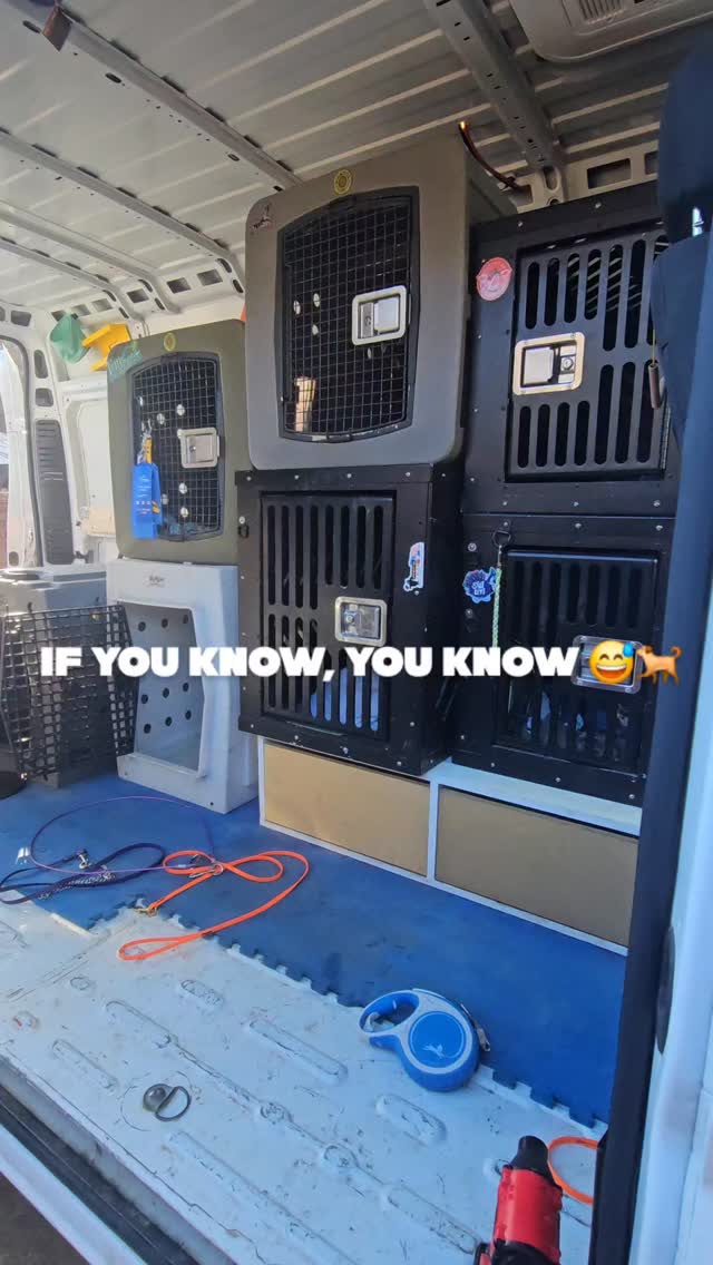 A little reset so we’re ready for whatever the dogs bring next. 🚎🐾🧼
#vanlife #dogtrainerlife #dogvanlife #dogsofinstagram #cleaninghacks