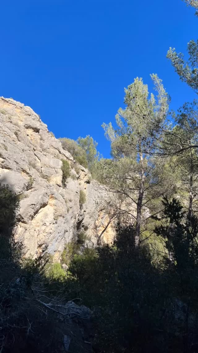 petit séjour chez mon frère @angelopierlo artiste autodidacte qui a fait plus de 300 expositions en 30 ans de carrière , sculpteur de pierres reconnues dans la région et le monde et peintre, habitant avec sa femme @castelina__ artiste , muse et super maman , dans une belle région entre les collines de Paul Cézanne, et le village de Picasso , à Meyrargues au dessus d'Aix en Provence !
Si vous passez dans la région, venez visiter sa villa @villa_pierlo , @galerie_des_2_chenes lieu d'inspiration artistique remplie de sculptures totem@dans son jardin avec des gardiens de la terre , des animaux , des personnages mythiques , des fresques monumentales de Noé et d'Adam et Ève ...et une galerie de tableaux .
Situé au pied du début, des montagnes, des Sainte-Victoires, je vous emmènerai découvrir cette région lors d'une retraite au printemps, où nous ferons du yoga, des randonnées, des méditations et la visite des lieux , des artistes de la région….#artisteindépendant #villadart #villapierlo #villapierlomeyrargues
#retraiteyogafrance #aixenprovence #sculpteurfrançais #sculpteurdepierres #familledartiste #sculpteurfrançais #sculpteurdepierre #artistepeintrefrançais #stageyogarando #stageyogarandonnée