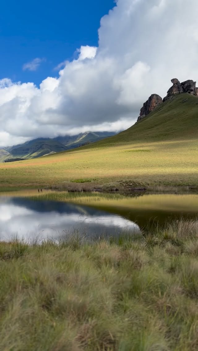 This is what hiking from your doorstep looks like at Giants Cup Wilderness Reserve.
Raw. Wild. Untouched.
No crowds—just you and the mountains.
#nature #drakensberg #naturelovers #drakensbergmountains #beautifuldestinations #getaway #beautifulplaces #goplaces #beautifulsouthafrica #weekendgetaway #hiking #hikingsouthafrica