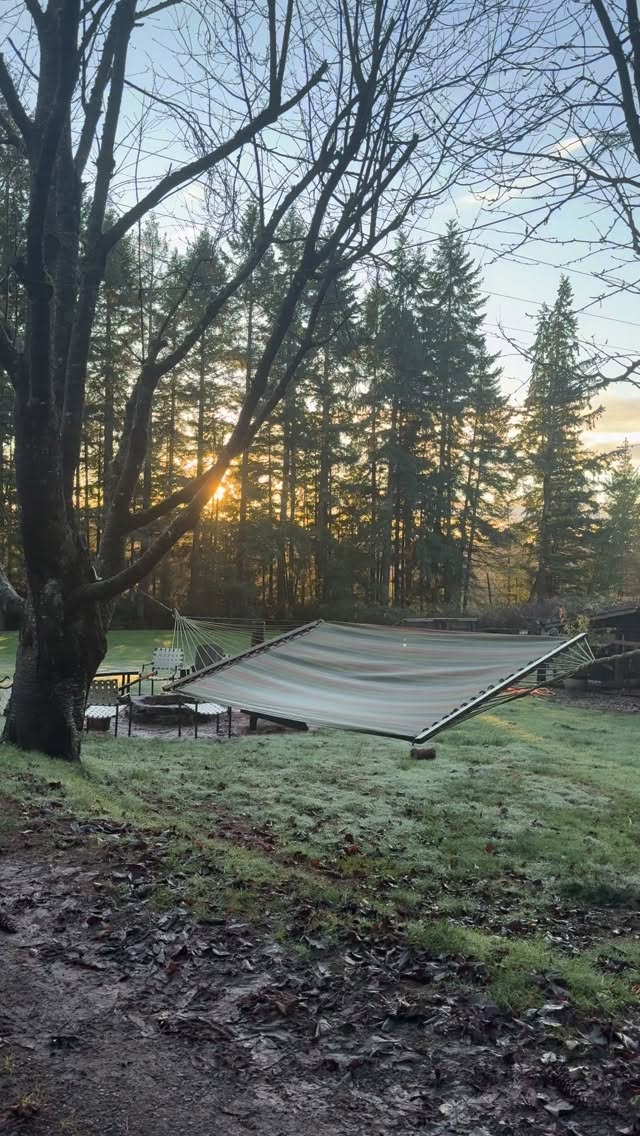 It’s a pretty frosty morning here at Oodles of Noodles! ❄️
#ferrets #ferretlife #ferretfun #ferretboarding #ferretlovers