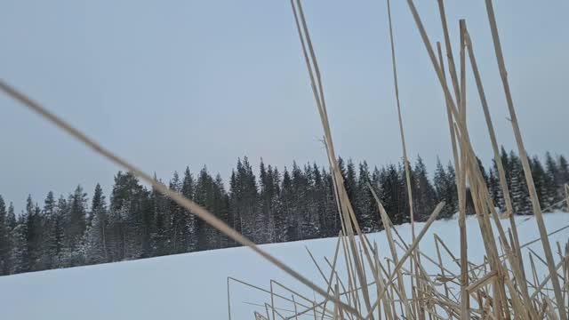 Testrunde med snowbiken. Oppgradert 750w til 1000w og 52v batter, motoren smelter snø, så litt varm blir den, men ikke i faresonen enda :) #customebikes #customelectricbikes #snowbike #elsykkel #bafang