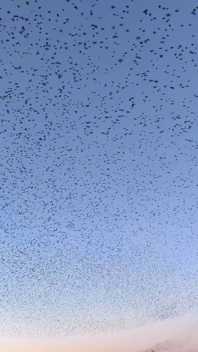 Maybe January isn’t all bad ❄️