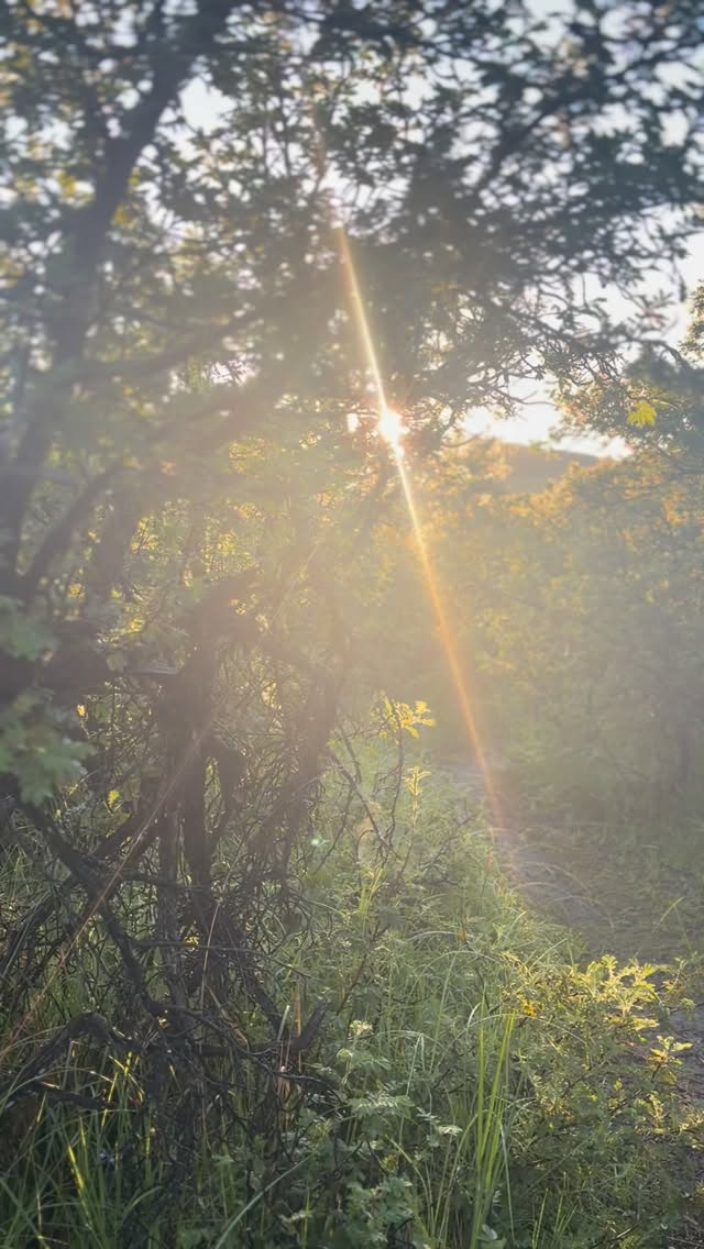 No TV. No shops. No restaurants.
Just nature, beautiful surroundings, and peaceful accommodation 🌿
Giants Cup Wilderness Reserve is for those who want to escape — not be entertained.
#nature #drakensberg #naturelovers #drakensbergmountains #beautifuldestinations #getaway #beautifulplaces #goplaces #beautifulsouthafrica #weekendgetaway