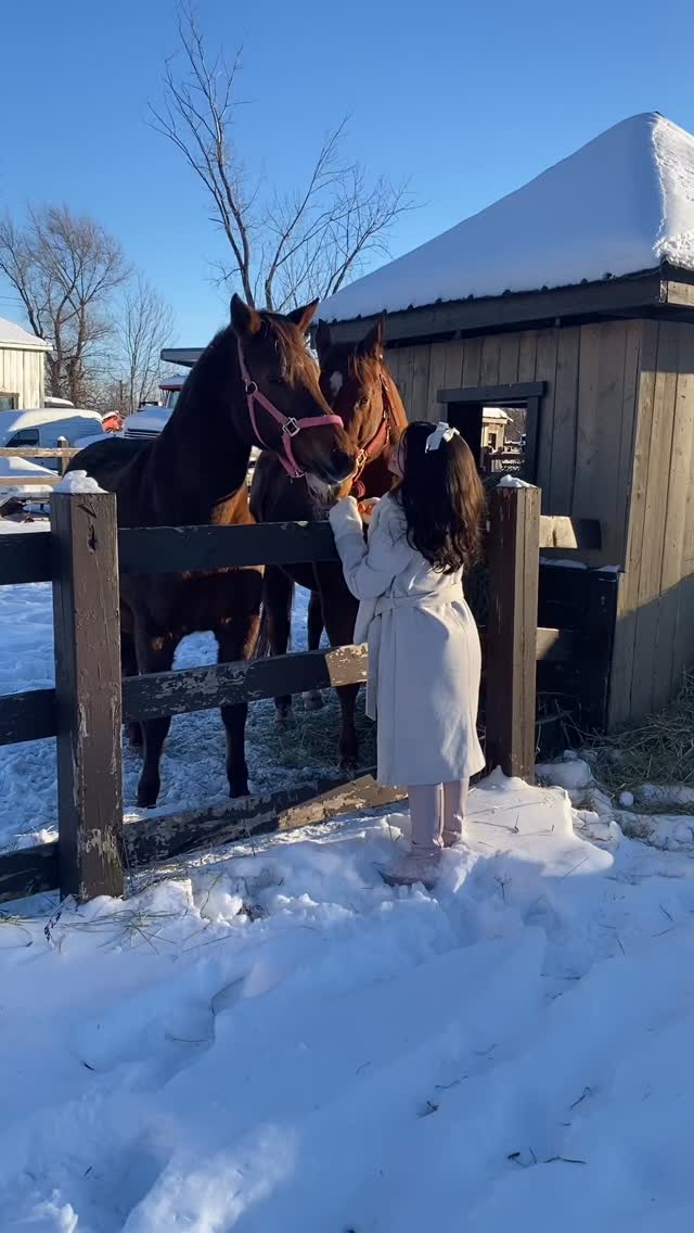 Le corps nous parle quand notre rythme de vie est trop rapide.
Se demander : « Est-ce que cette manière de vivre me nourrit vraiment ? » c’est se choisir. ✨💫
Si ton corps te parle, prends le temps de l’écouter.
RDV: https://www.massotherapielamaison.com