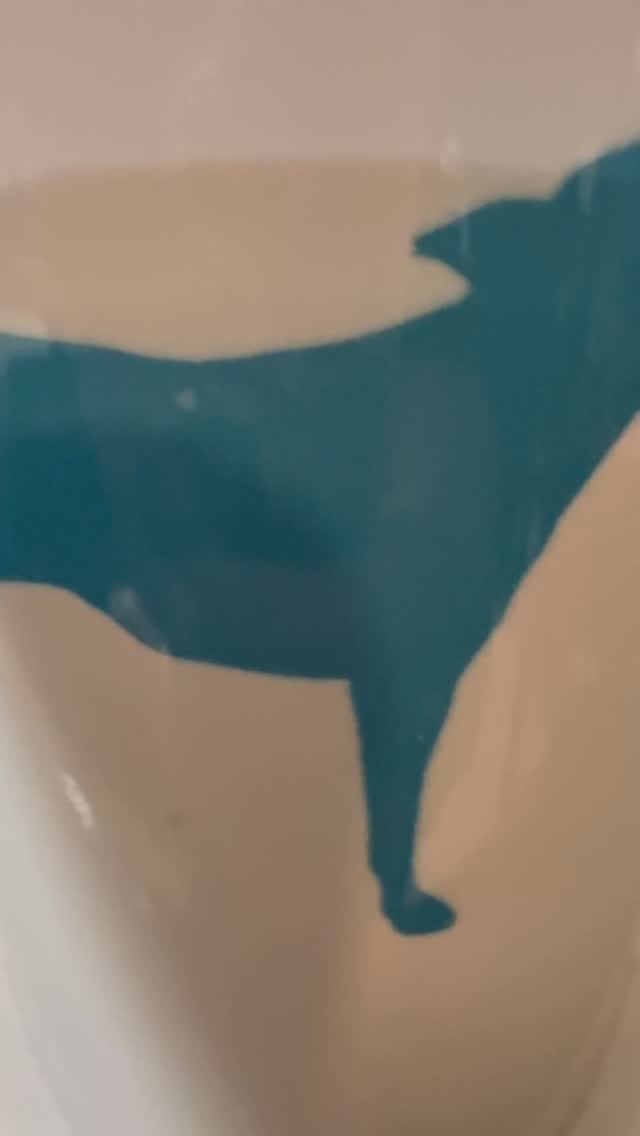 Fresh off the press ✨
New Potcake mugs just dropped!
Dishwasher safe ✔️ Microwave safe ✔️
All the colors you love, ready for your daily coffee ritual ☕
#PotcakeDesigns #NewArrivals #MugLife #CoffeeRitual #DailyCoffee