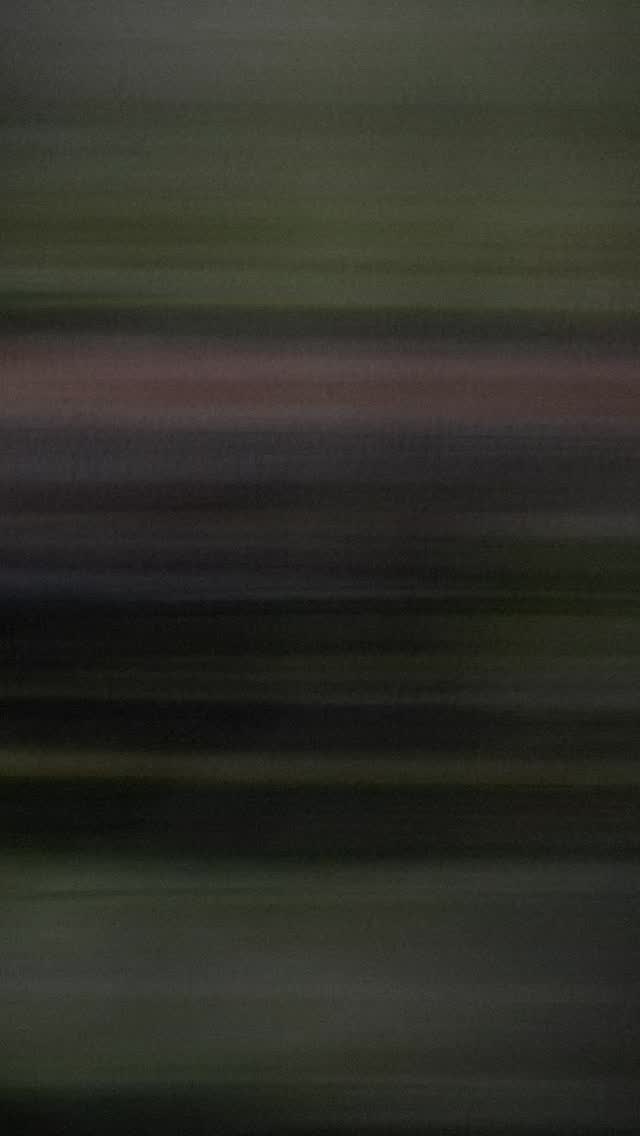 (LIVE) Ein Teil von meinem Herzen🤍
#einteilvonmeinemherzen#freietrauung#hochzeitssänger