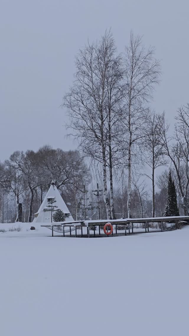 January, 3
2026
#snow #snowingday #snowing #january #winterseason