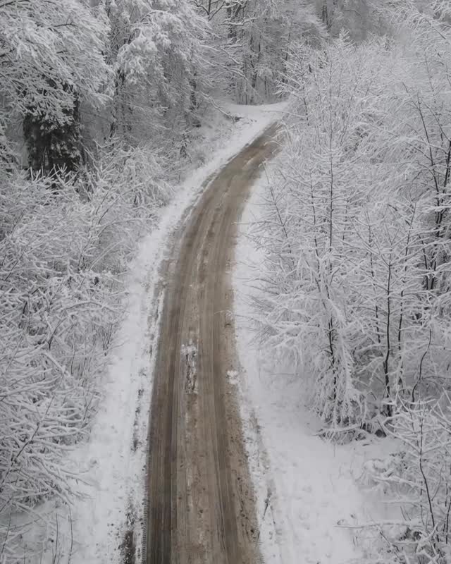 Breathe. Move. Repeat. Regulate. Hydrate. Sweat. Balance. Stretch. Cool Down.
Daily moves = less problems down the road. Check out our blog titled Daily Moves Less Problems to read up on some wellness routines to incorporate in daily life.
Daily Moves. Less Problems. Check out our latest blog. Link in bio. #movement #daily #selfcare #wellness #saltsoak