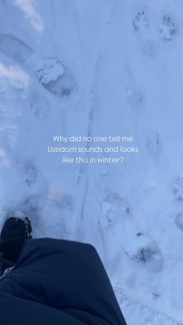 The 30 sec ASMR you were looking for today 🤝
#asmr#winterasmr#usedom