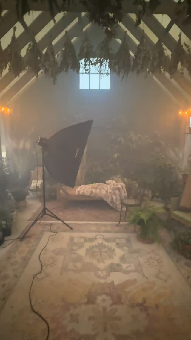 Yesterday was so much fun here at the greenhouse! It was my first shoot of a brand new exciting offering coming very soon here. I can’t wait to share with you all!
Stay tuned ✨🌿
@meghanaileen
@robbiebrooksmoore
@rebeccacorreia
#secretgarden #boudoir #photoshootfun #franklintn #leipersforktn #beautyphotography #40over40