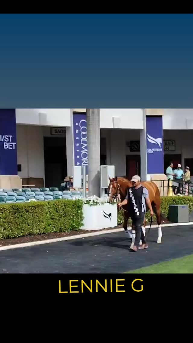 LENNIE G (Promises Fulfilled) and PATROL SQUAD SIX (Midshipman) schooling @gulfstreampark today in prep for their races this weekend. Lennie Saturday MSW race 8 and PS6 Sunday in an Allowance race 10. Best of luck to owners Bob Baron and @cjthoroughbreds!