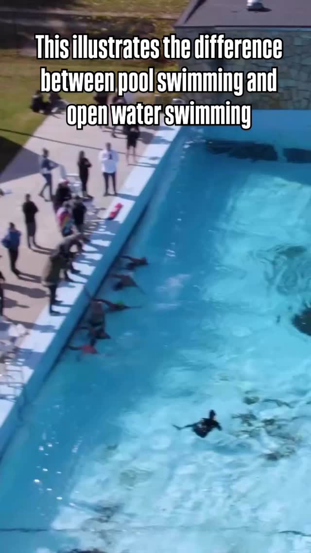 💦Pool Swimmers vs. Open Water Swimmers
There’s a big difference.
So… who’s stronger?
It depends on how and where you measure it.
💧🏊🏽♂️ Pool swimmers dominate precision, speed, and control.
🌊🏊🏽♂️ Open water swimmers thrive in chaos, endurance, and adaptability.
🏆Want to become the ultimate waterman / waterwoman?
Master both.
The strongest aquatic athletes aren’t defined by one lane or one environment — they excel across all water conditions, building skill through a variety of aquatic disciplines.
🤔 Which one are you training for right now?
Comment Below👇🏽
#Waterman #OpenWaterSwimming #PoolSwimming #AquaticAthlete SwimLife
OceanSkills
EnduranceTraining