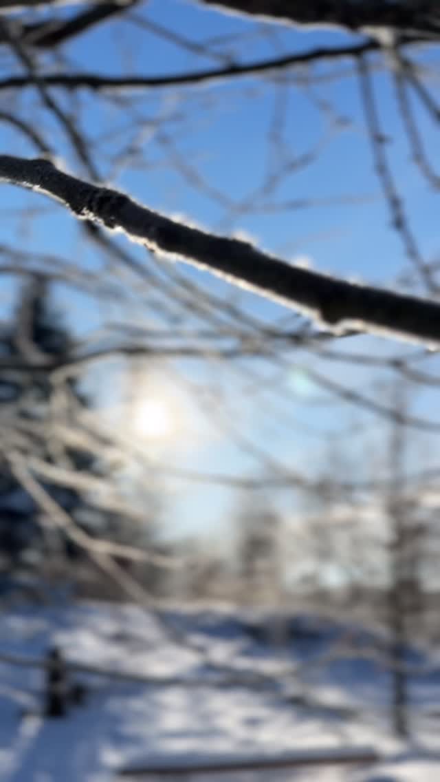 Genieße bei trockener Kälte und herrlicher Sonne nochmal den Schnee und die verschneite, glitzernde Natur ❄️