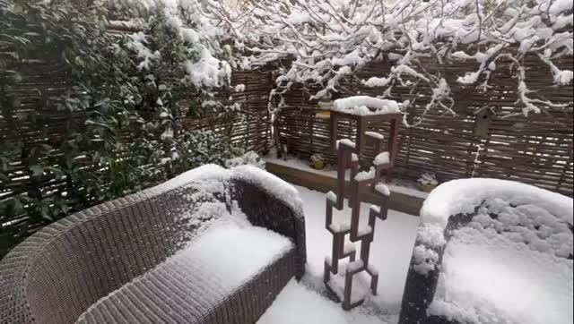 ❄️Série La neige : ce matin une sculpture d’Ariel Elizondo Lizarraga dans un jardin parisien. 🌨️
Merci au collectionneur pour cet instantané, un doux moment avec les crépitements du feu de bois et la musique. 🔥🎶
#arielelizondolizarraga #sculpteur #artlovers #neige #sculpture