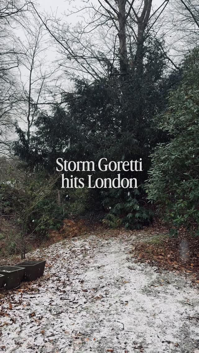 I can’t feel my toes! I don’t remember London being this cold last year ( or maybe I have short term memory )
So pretty but pretty annoying too if you don’t have the proper boots 🥾 and I don’t.
#stormgoretti