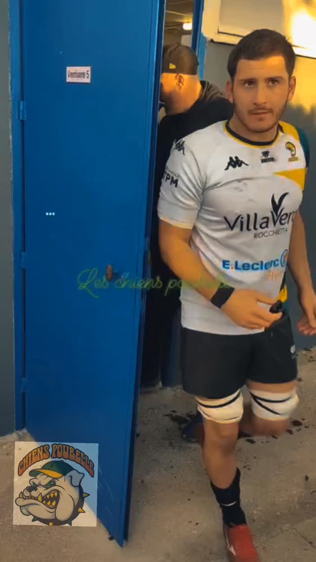#chienspoubelle #rugby #elvis #troisiememitemps #délire