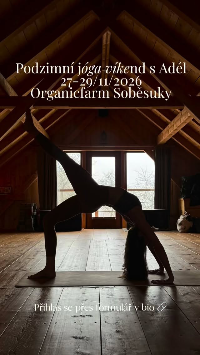 „A kdy bude další jóga víkend?“ ptali jste se mě, když jsme se v listopadu loučili na podložkách. Myslela jsem, že bude poslední. Přesvědčili jste mě ale, že to má smysl. Důkazem byly vaše zářící oči, spokojené úsměvy a odpočinuté tváře. 💫
Pojďme si to tak zopakovat ve stejném termínu na stejném místě. Obrátit se do sebe a trochu se opečovat. Protáhnout tělo, ztišit mysl, nasytit duši, roztančit srdce.🤍
Kdy? 27. - 29. listopadu 2026
Kde? @organicfarmsobesuky
➡️ Veškeré informace k víkendu a k přihlášení najdeš ve formuláři v bio nebo mi napiš na adelaodjela@gmail.com
Těším se na Tebe. 🖤
A.