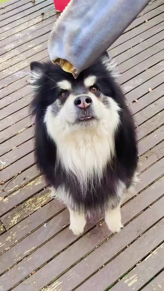 Yep. Give that #sharktail 🦈🐾 K thanks bye!