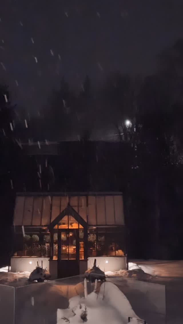 Soft light, quiet growth, and the art of wintering. Wake me when spring arrives.