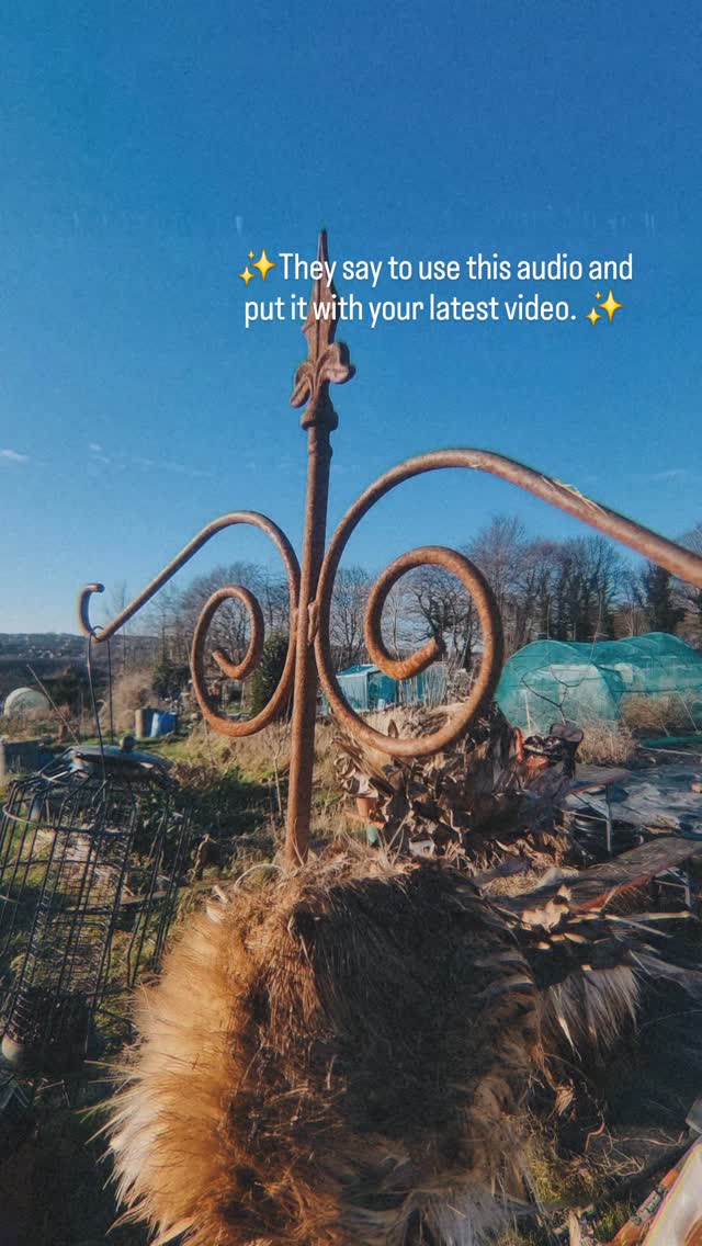 I'm not sure who 'they' are, but it has made a sweet vid. Featuring some of our double hooks looking lovely in the bright blue sky.