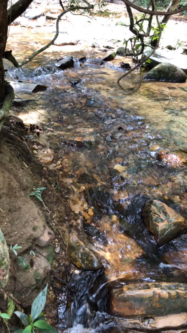 Vale das Borboletas.
#saothomedasletras