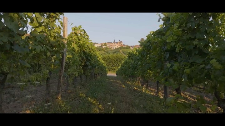 For full video 👉 linkinbio 🐝 Thanks 🙏 @volwild