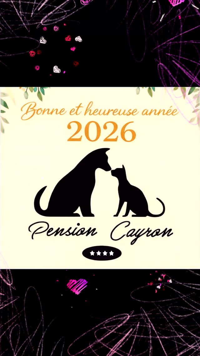 Quelques beaux portraits de vos adorables toutous en #vacancecanine #pensioncanine