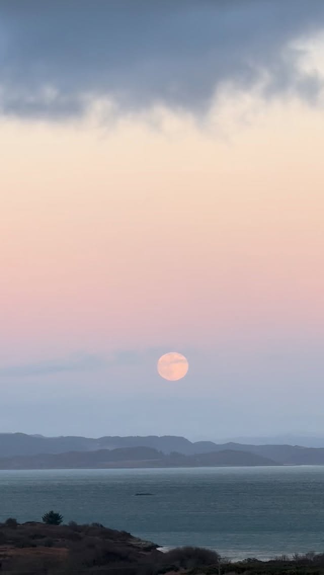 ❄️ Tales From the Hills ❄️The cold and quiet, wolf moon of winter meets us as the sun sets and then rises, bringing with it snow, a rare event on the #isleofgigha
For those up at North Ardminish snow is a welcome sight after years spent in -30 and snow drifts as tall as houses out in the plains of Saskatchewan and mountains of Alberta 🍁
Winter can be joyous, and Scotland’s winters are still full of colour - from birds to willow stems, frosted bracken and scrub forested hillsides. Rushes swaying with golden, crystalline light 🌞
.
.
.
.
.
.
.
.
📸 @amywilsonarts
✨Our Home :: Link in Bio ✨
.
.
▫️#lovetheland #visitgigha #winterphotography #hiddenscotland ▫️