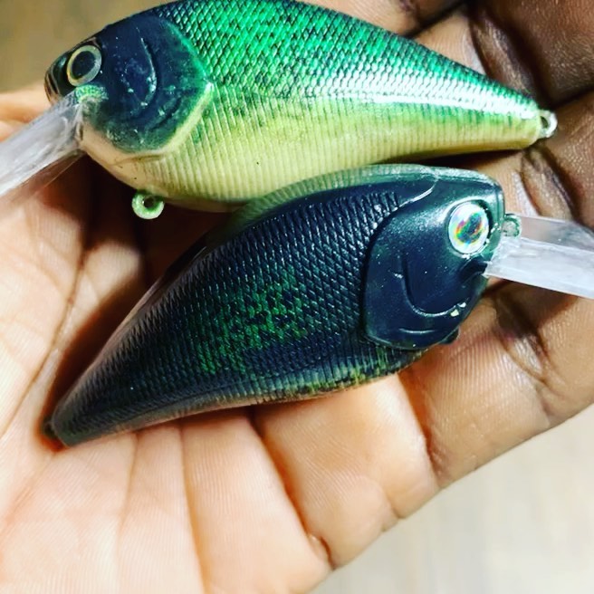 Two variations of a black crappie