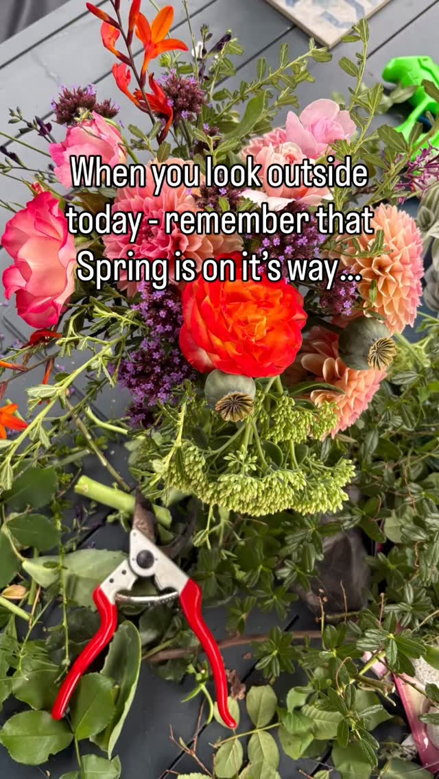 Only 3 months left until Spring! Hold on!#gardendesign #wildlifefriendly #planting #londongarden