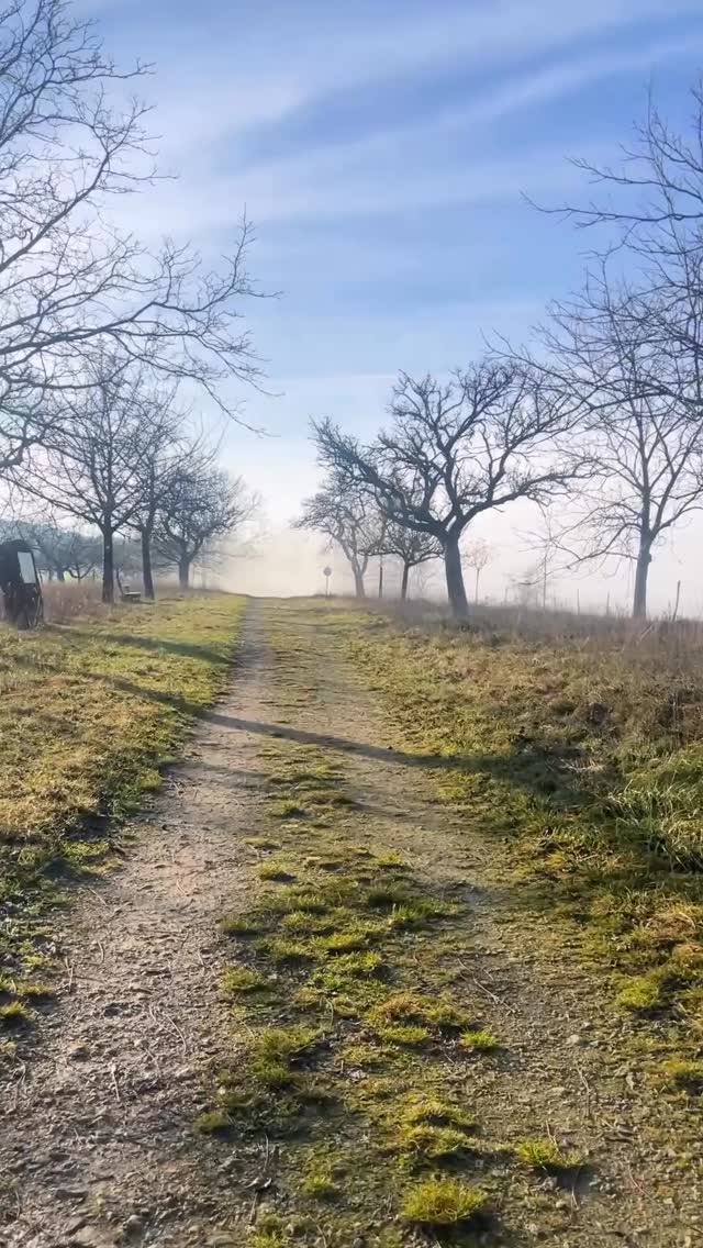 🍷 Il se cache à 400 m.
⛰️ Un rouge vosgien, rare et inattendu.
Le Blêu — Coopérative de Montfort
🤝 Des vignerons réunis, passionnés,
🌱 des vignes cultivées sans pesticides,
🍇 dans le respect du vivant.
#vinsdesvosges #coteauxdumontfort #vinrare #vinconfidentiel #vinfrancais #sentierdesvins #degustation #instavin