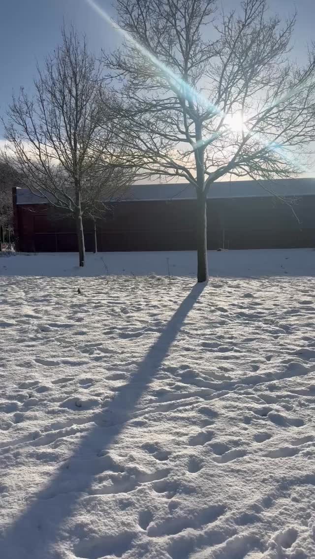 Soms voelt het alsof je lijf niet meer meedoet.
Alsof je constant achter jezelf aanloopt.
Je eet ‘gewoon gezond’,
maar je energie zakt weg.
Je hoofd voelt vol of wazig.
Cravings komen op momenten dat je ze niet kunt gebruiken.
En ergens sluipt die gedachte erin:
‘Dit hoort zeker gewoon bij de perimenopauze…’
Maar wat als dit geen falen is?
Wat als je lijf juist heel logisch reageert?
In de perimenopauze worden je hormonen gevoeliger voor schommelingen in je bloedsuiker.
Die pieken en dalen kunnen zorgen voor vermoeidheid, brain fog, stemmingswisselingen en snaaibuien, zelfs als je ‘alles goed doet’.
Stel je eens voor hoe het zou voelen
om weer energie te hebben die blijft,
een hoofd dat helder is,
minder strijd rondom eten
en je gewoon weer jezelf voelen.
Dat is wat inzicht kan brengen.
Met een suikeranalyse krijg je geen algemeen voedingsadvies,
maar een helder beeld van wat voeding, stress en leefstijl
met jóu doen.
Je ziet waar jouw bloedsuiker uit balans raakt
en belangrijker wat jouw lijf nodig heeft om weer tot rust te komen.
Geen streng dieet.
Geen perfectie.
Wel begrip, richting en vertrouwen.
👉 Benieuwd wat jouw lijf je probeert te vertellen?
Stuur me SUIKER en in vertel je graag meer over de mogelijkheden.
#bloedsuiker #stabielebloedsuikerspiegel #perimenopauze #hormoonbalansvoorvrouwen #femmehormoonspecialist