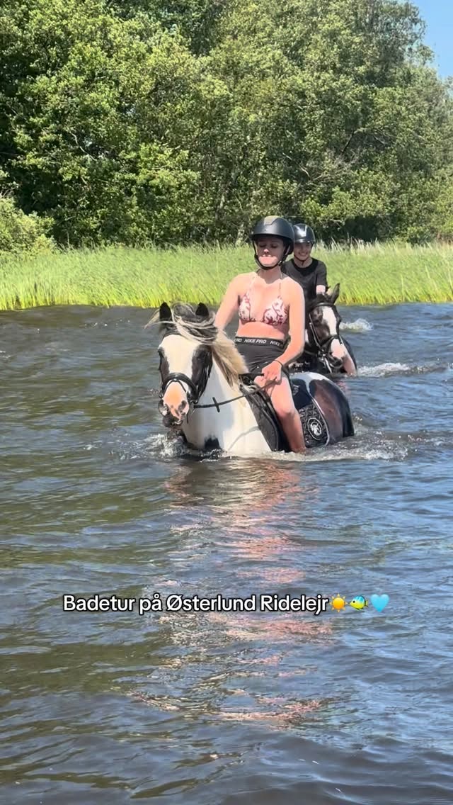 Vi elsker den ugentlige badetur på Østerlund Ridelejr🩵 Hvis du vil med, så kan du nå det endnu, i uge 28 og 29 med egen pony/hest. Alt udsolgt i uge 27. Vi ses!🎉 #østerlundridelejr #danmarkssjovesteridelejr