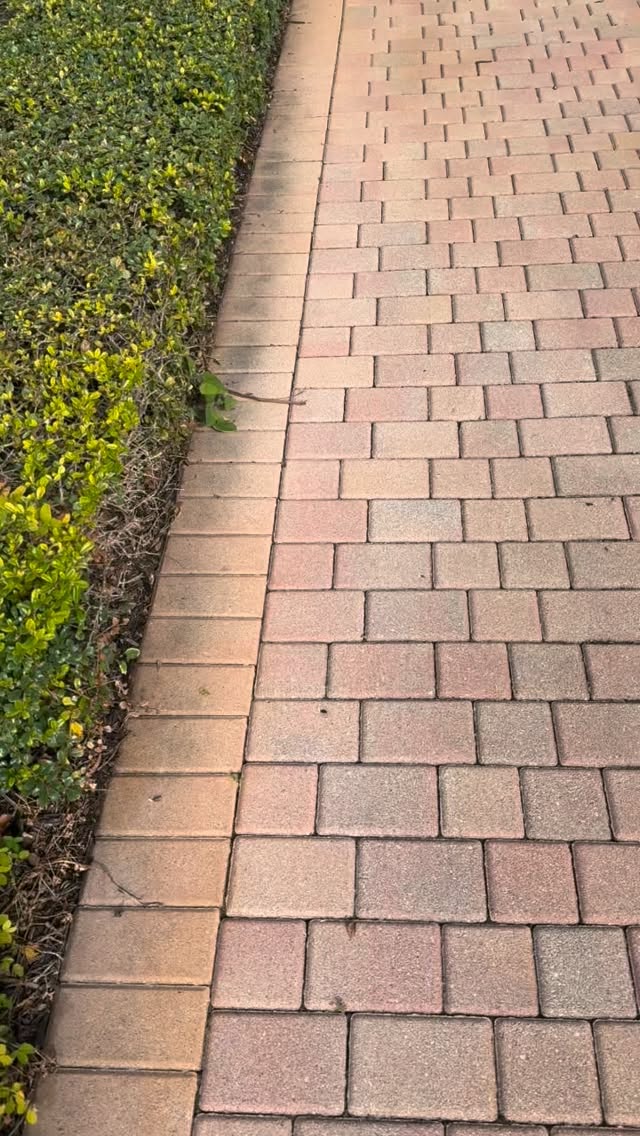 #beforeandafter #softwashing #pressurewashing #tnacleans #pressurecleaning call today for a free estimate 3053189961 www.tnacleans.com